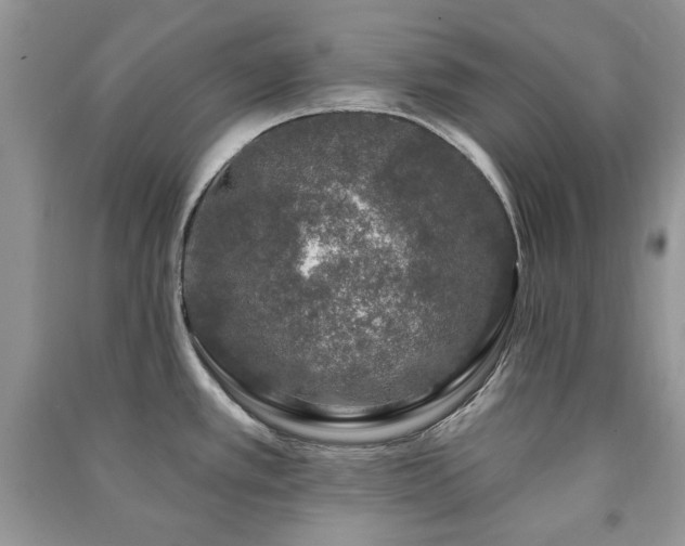 X0000091211389200708091338