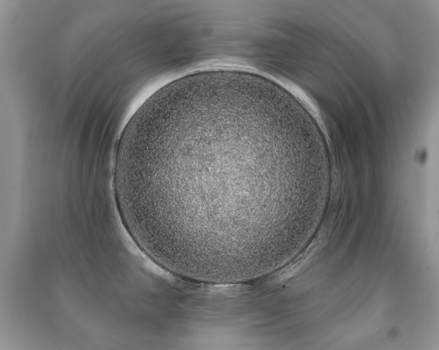 X0000091211390200708091338