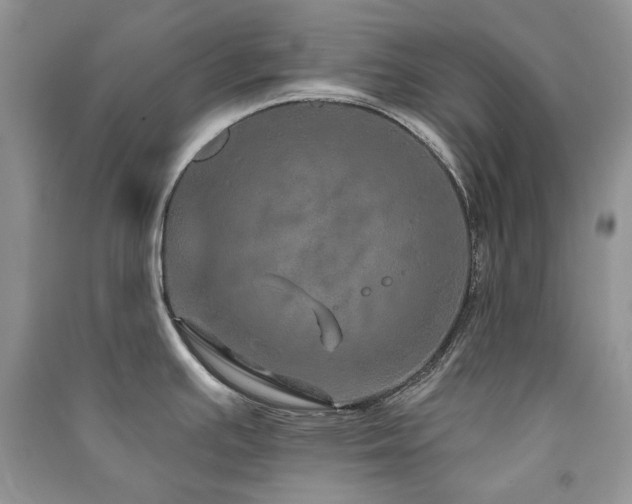 X0000091211391200708091338