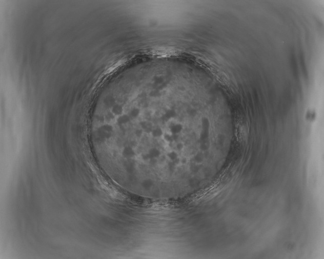 X0000091211393200708091338