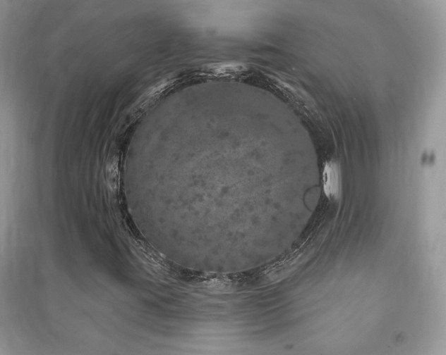 X0000091211395200708091338
