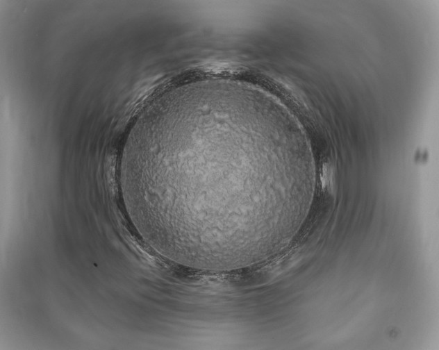 X0000091211396200708091338