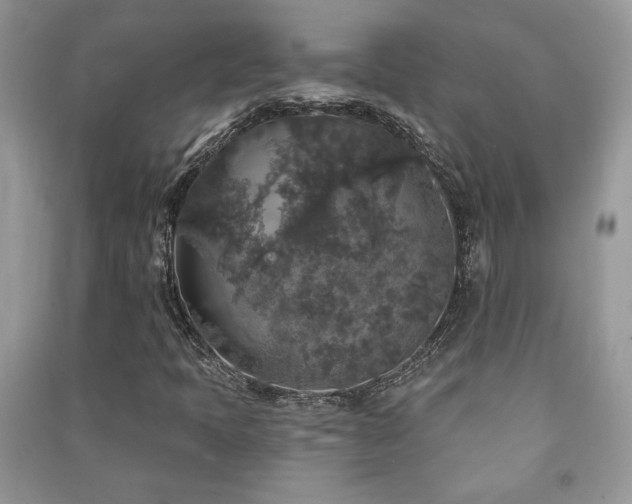 X0000091211397200708091338