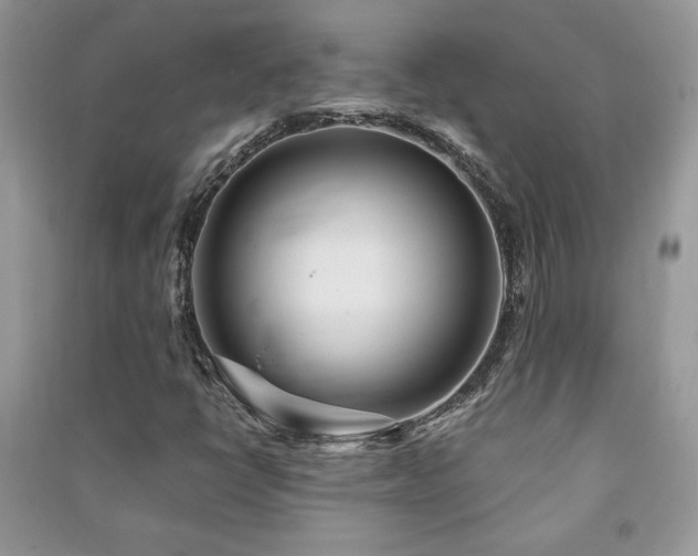 X0000091211398200708091338