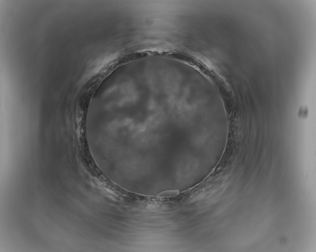 X0000091211399200708091338
