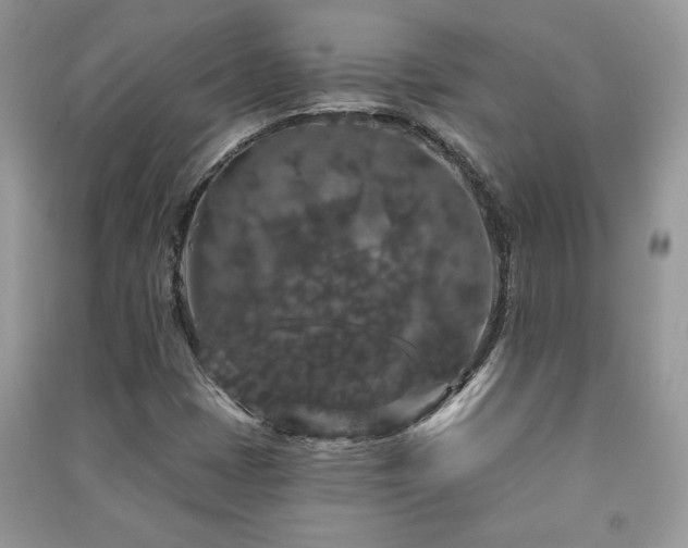 X0000091211401200708091338