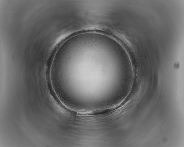 X0000091211404200708091338