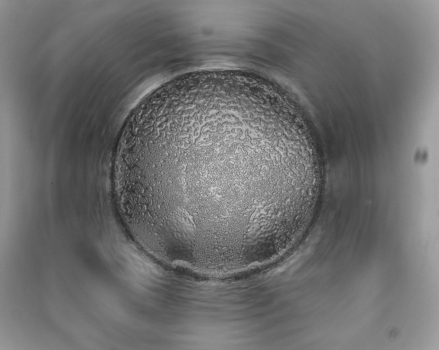 X0000091211409200708091338