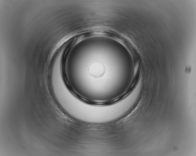X0000091211410200708091338