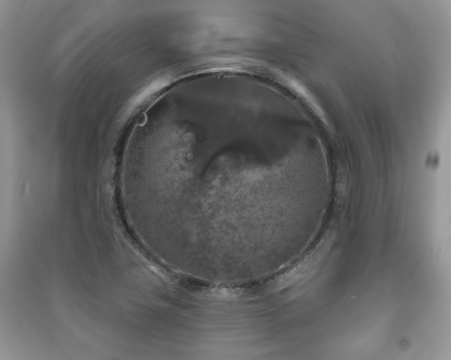X0000091211411200708091338