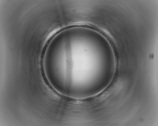 X0000091211412200708091338