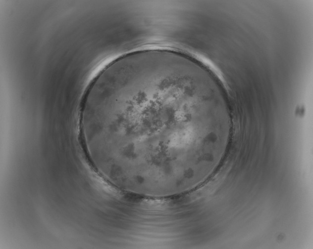 X0000091211415200708091338