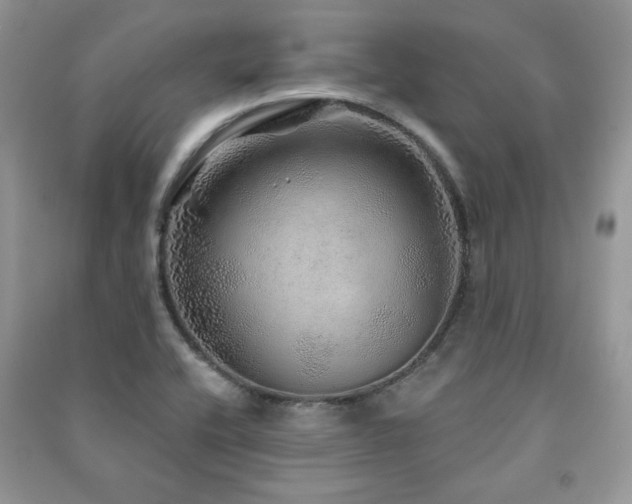 X0000091211416200708091338