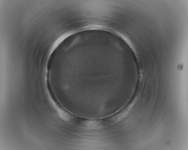 X0000091211418200708091338