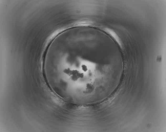 X0000091211419200708091338