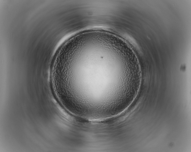 X0000091211420200708091338