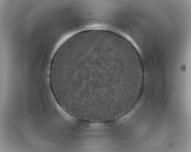 X0000091211421200708091338