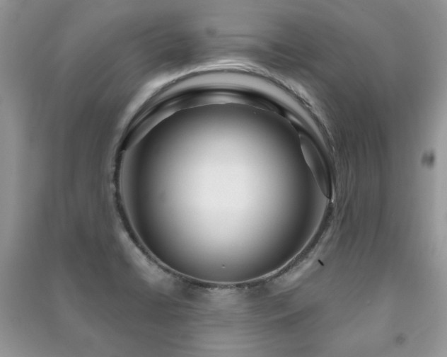 X0000091211422200708091338