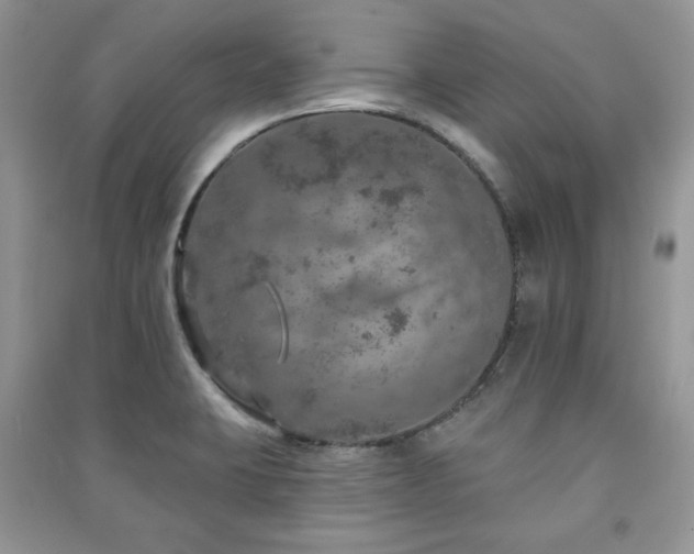 X0000091211423200708091338