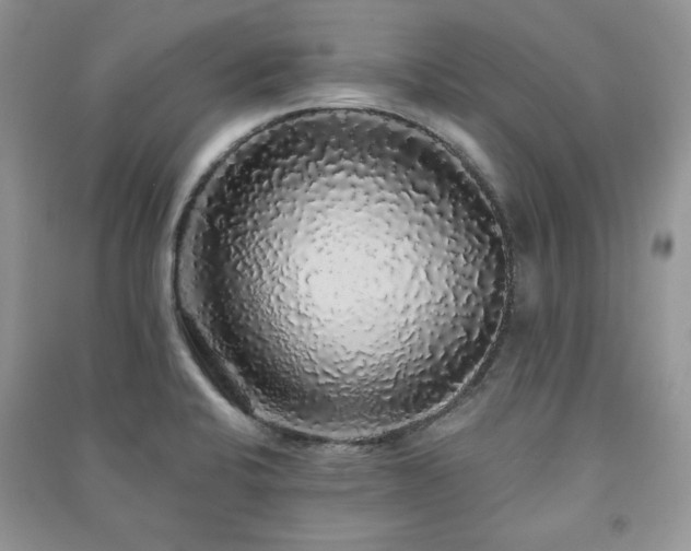 X0000091211424200708091338