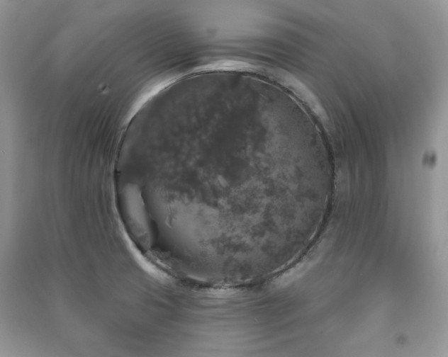 X0000091211425200708091338
