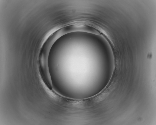 X0000091211426200708091338