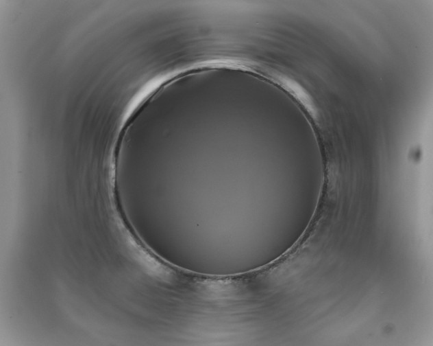 X0000091211428200708091338