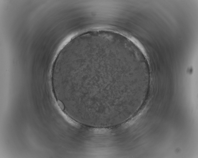 X0000091211429200708091338