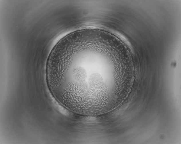 X0000091211431200708091338