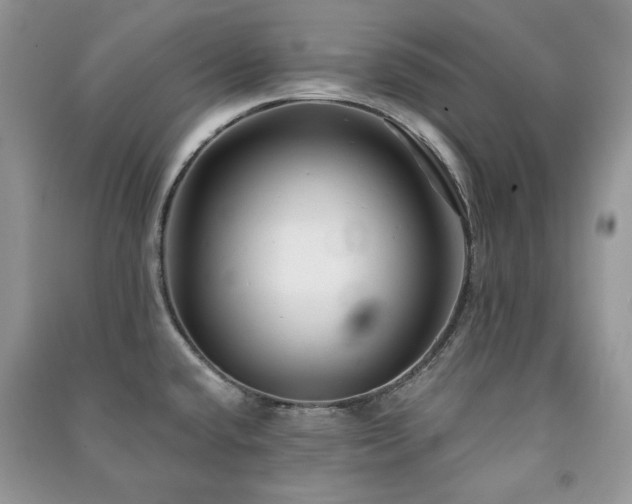 X0000091211432200708091338
