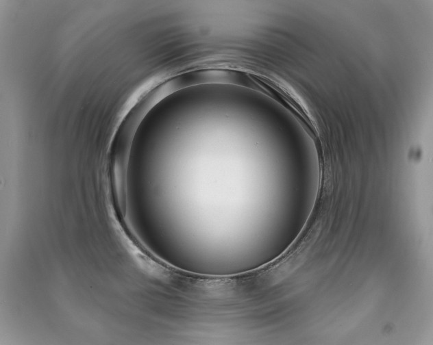 X0000091211434200708091338