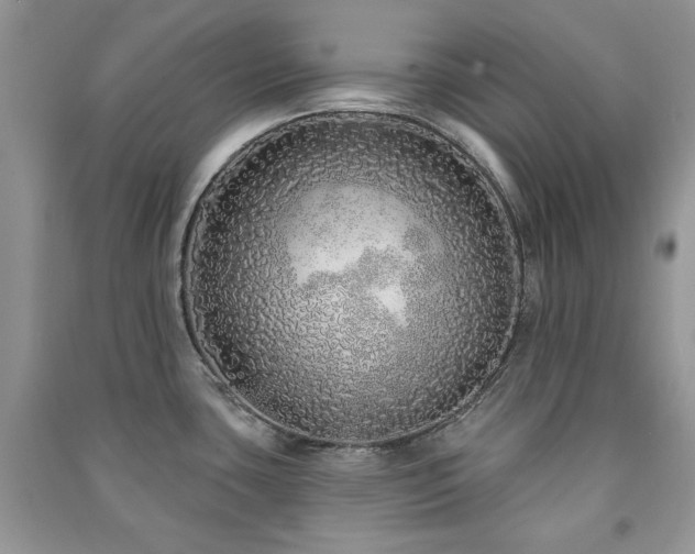 X0000091211435200708091338