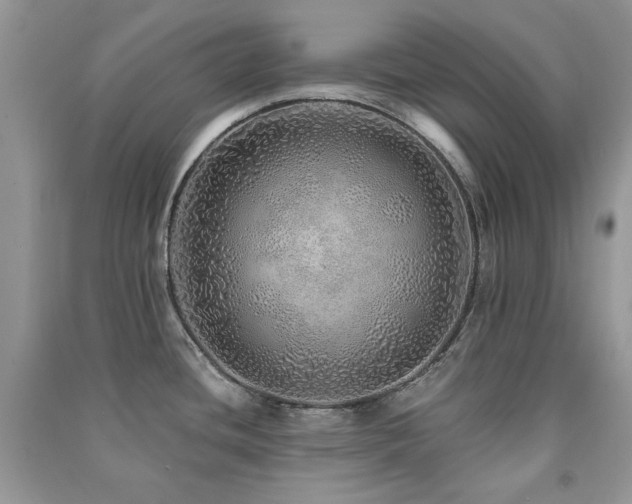 X0000091211436200708091338