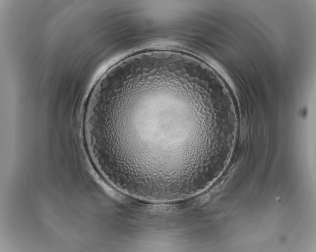 X0000091211437200708091338