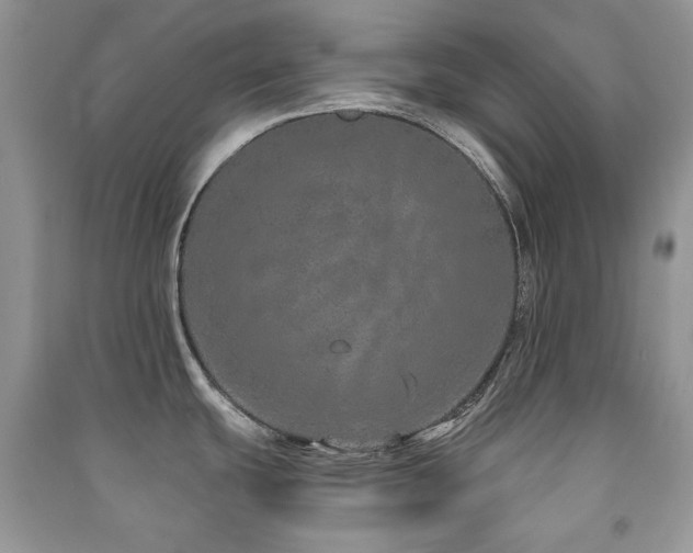 X0000091211439200708091338