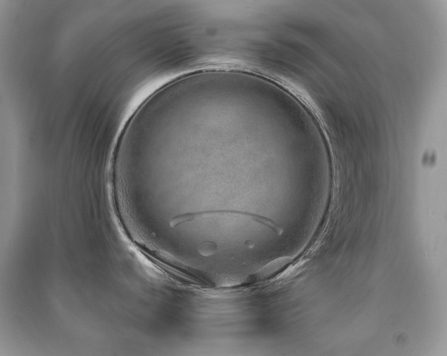 X0000091211440200708091338
