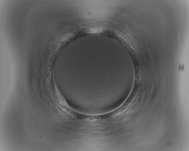 X0000091211441200708091338