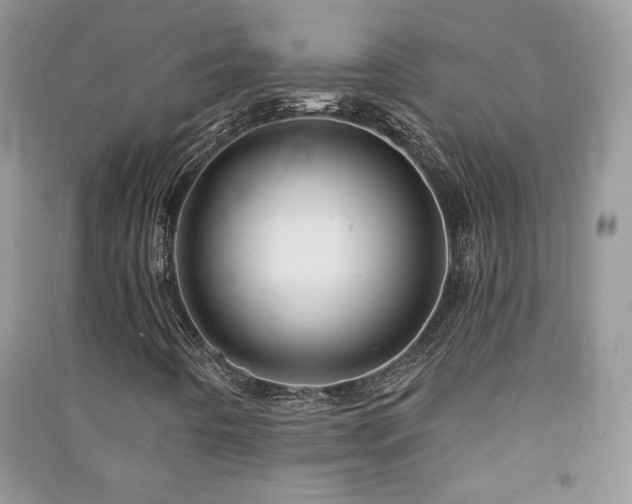 X0000091211442200708091338