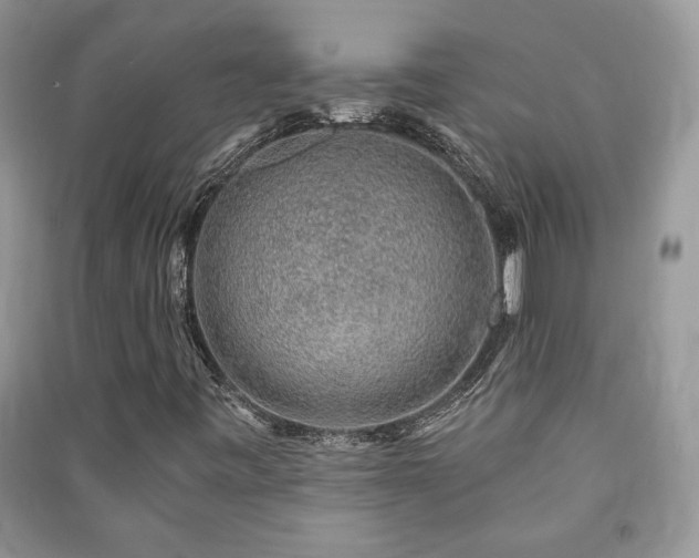 X0000091211443200708091338