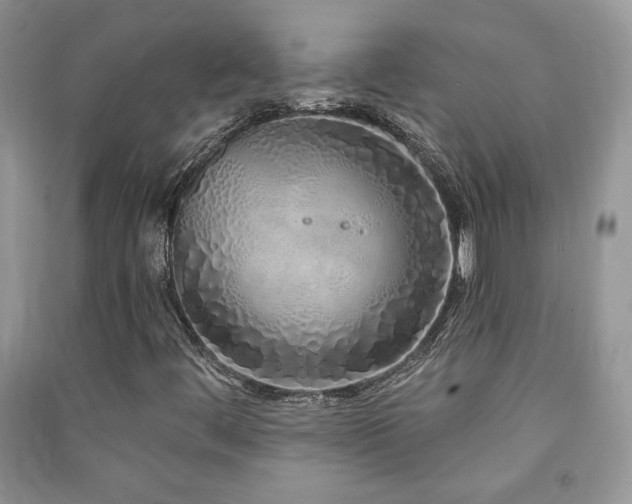 X0000091211444200708091338