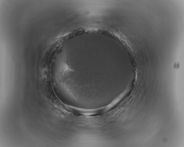 X0000091211445200708091338