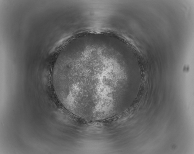 X0000091211446200708091338