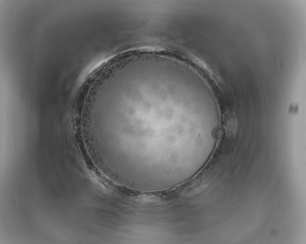 X0000091211448200708091338