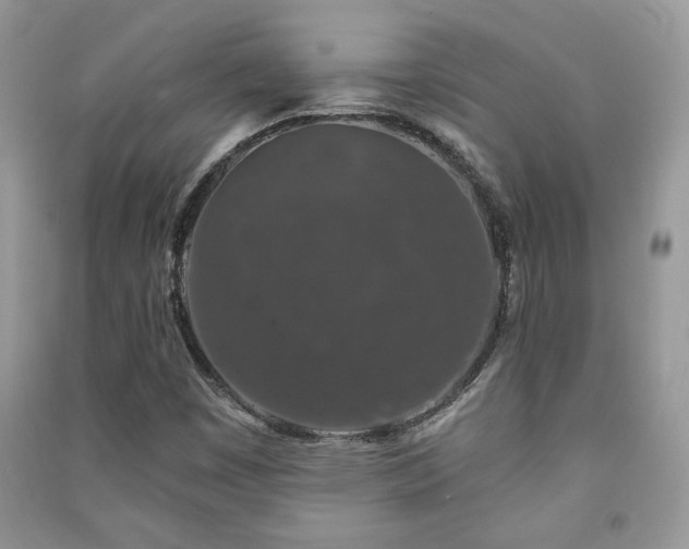 X0000091211449200708091338