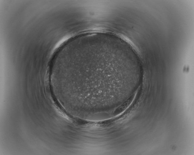 X0000091211450200708091338