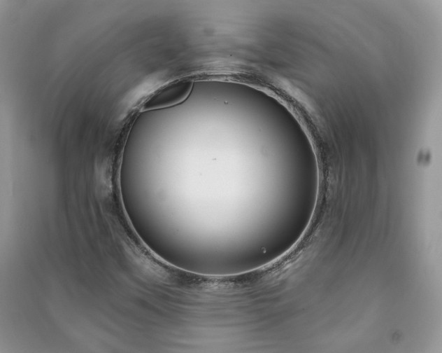 X0000091211451200708091338