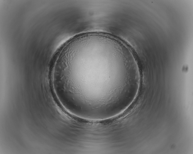 X0000091211452200708091338