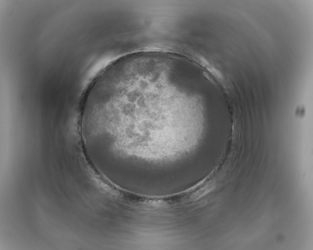 X0000091211454200708091338