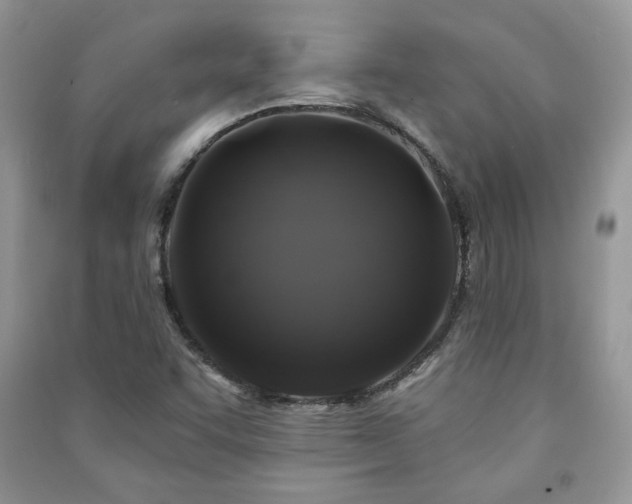 X0000091211455200708091338