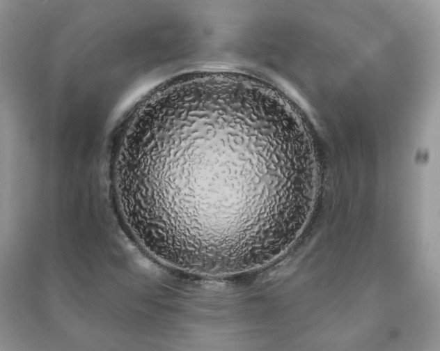 X0000091211456200708091338